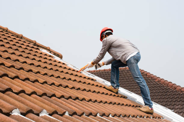 Best Rubber Roofing (EPDM, TPO)  in Alturas, FL